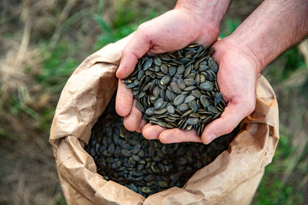 🧂 Pink Himalayan Salt Gourmet Pumpkin Seeds – Premium European, Hull-Less, Roasted, No Seed Oils